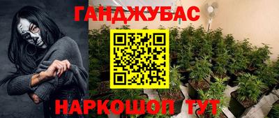 гидра Краснокаменск
